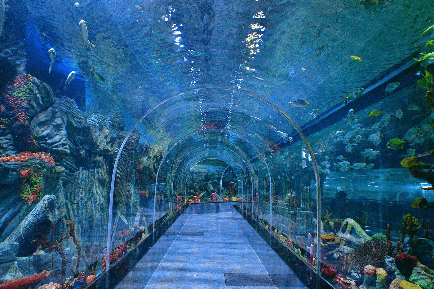 namma bengaluru aquarium