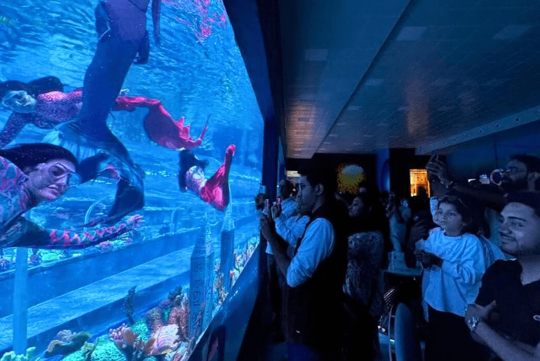 namma bengaluru aquarium